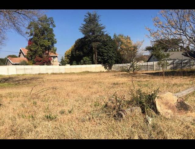 BUSINESS FOR SALE IN KENSINGTON B